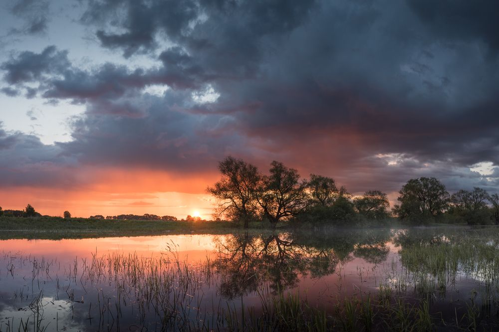 Photograph by Роман Фабричный