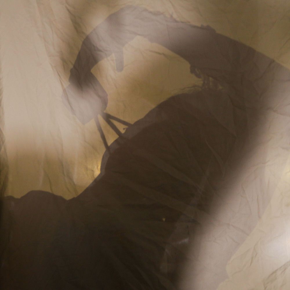 Photograph by Rayan Rahal