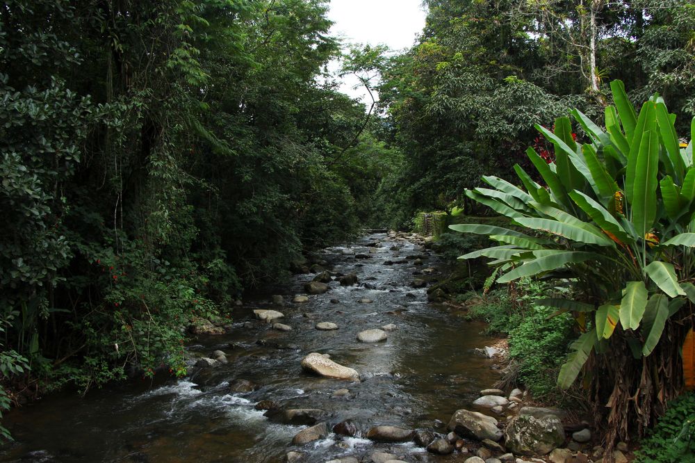 Photograph by Tatiana Barthem