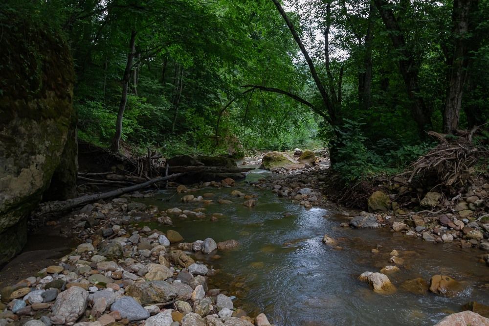 Photograph by Бабитко Юлия