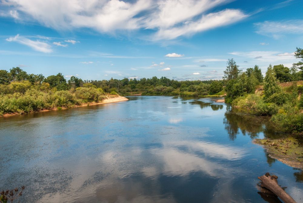 Photograph by Дементьев Владимир