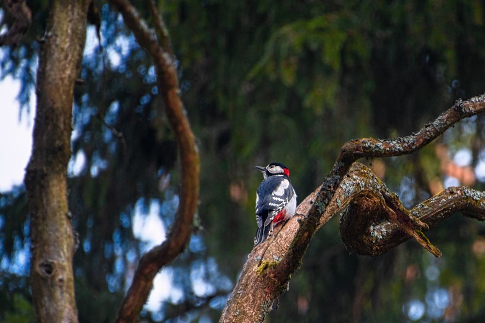 Photograph by Александр Горский