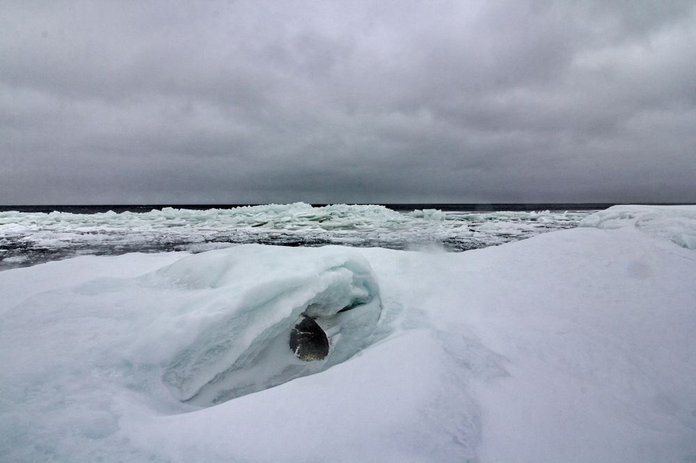 Ладожский взгляд