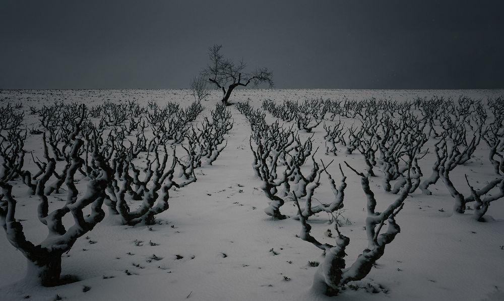 Photograph by Alper Eral