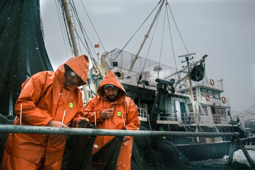 Photograph by Alper Eral