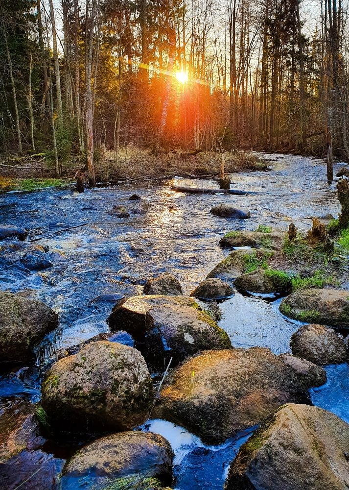 Фотография автора Inna Evseeva