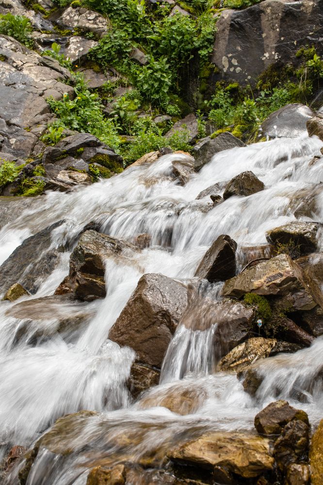 Фотография автора Мария Сурмачева