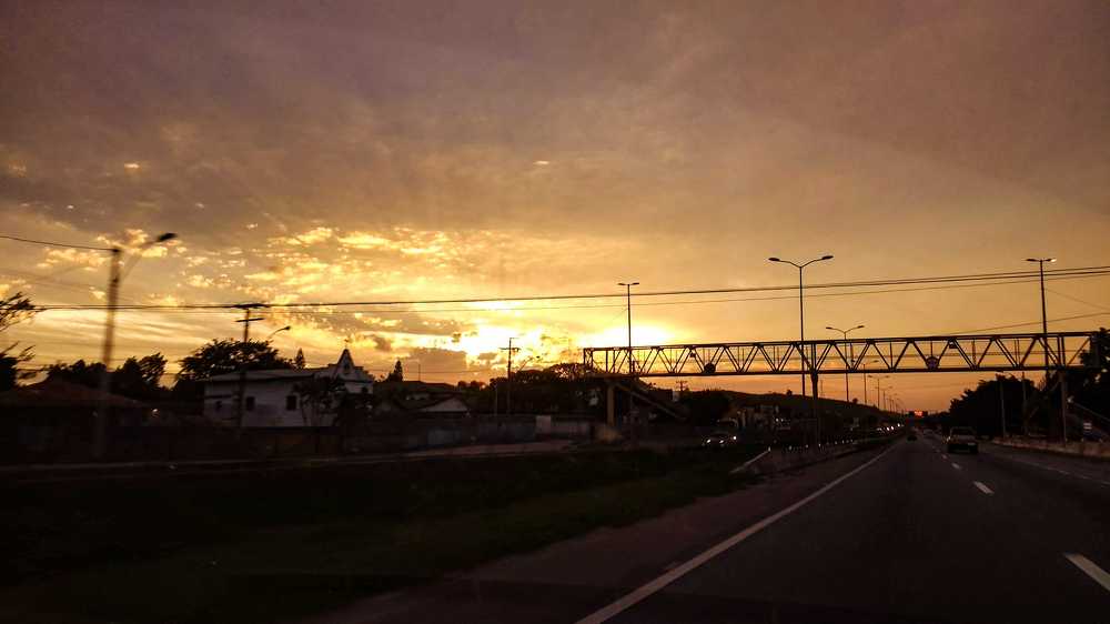 Photograph by Tatiana Barthem