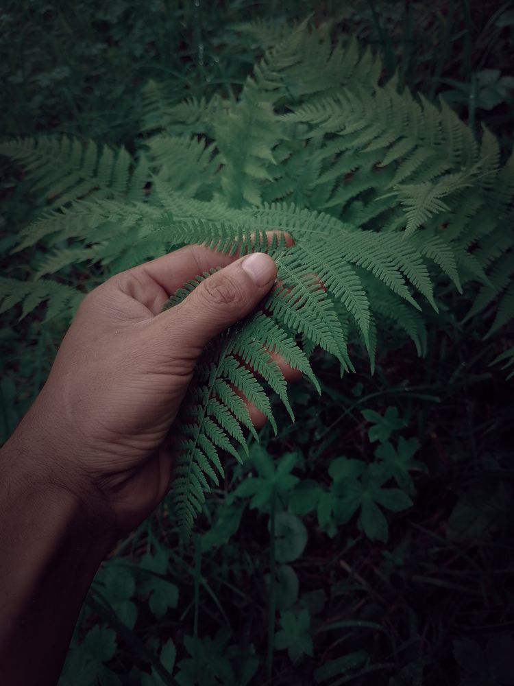 Photograph by Prodaniuc Vasile