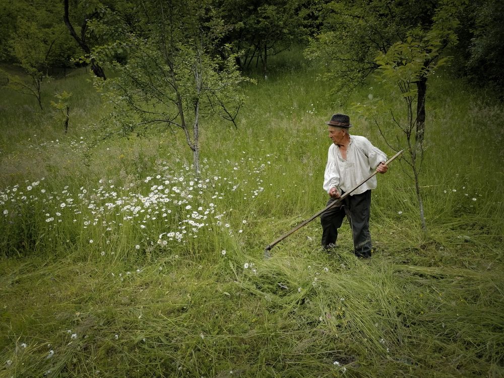 My grandfather at work