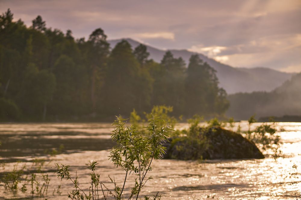 Photograph by Yuliya Khramova