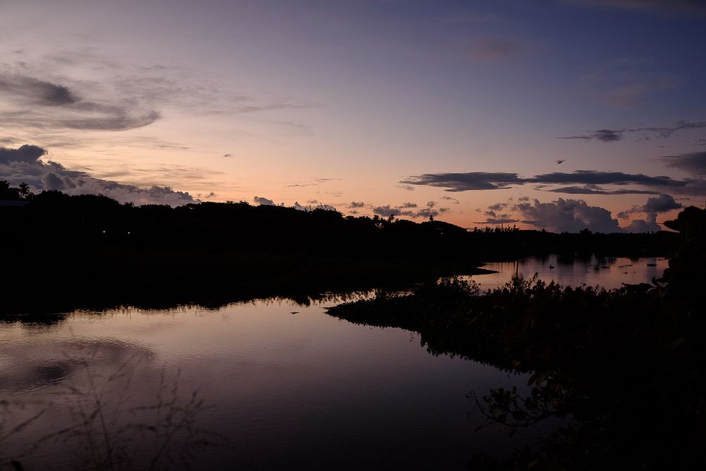 Photograph by Frederico Molini