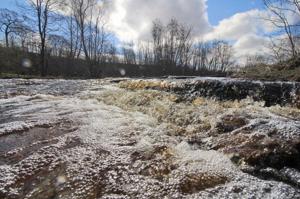 Photograph by Тимофей Петров