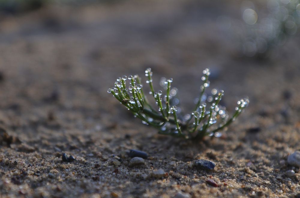 Photograph by Екатерина Слепнева