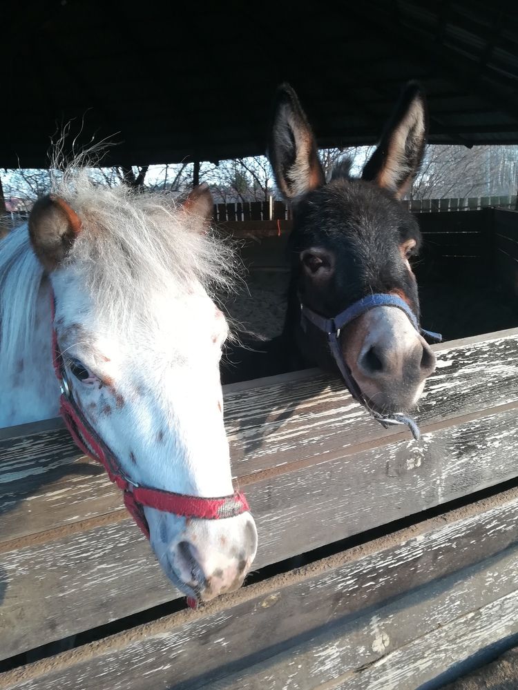 Photograph by Tomasz Aleksandrzak