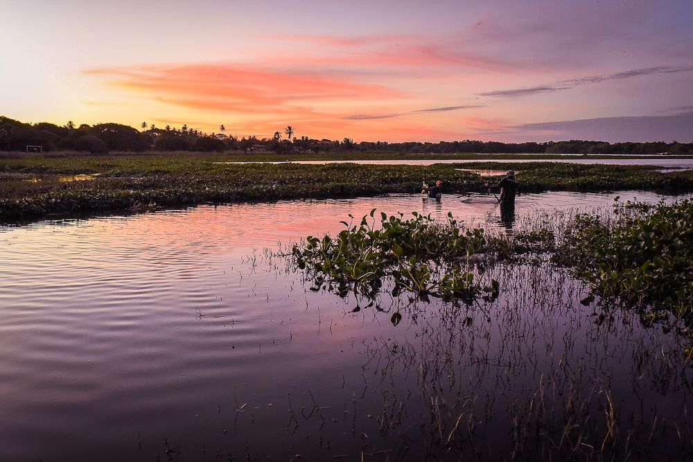 Photograph by Frederico Molini
