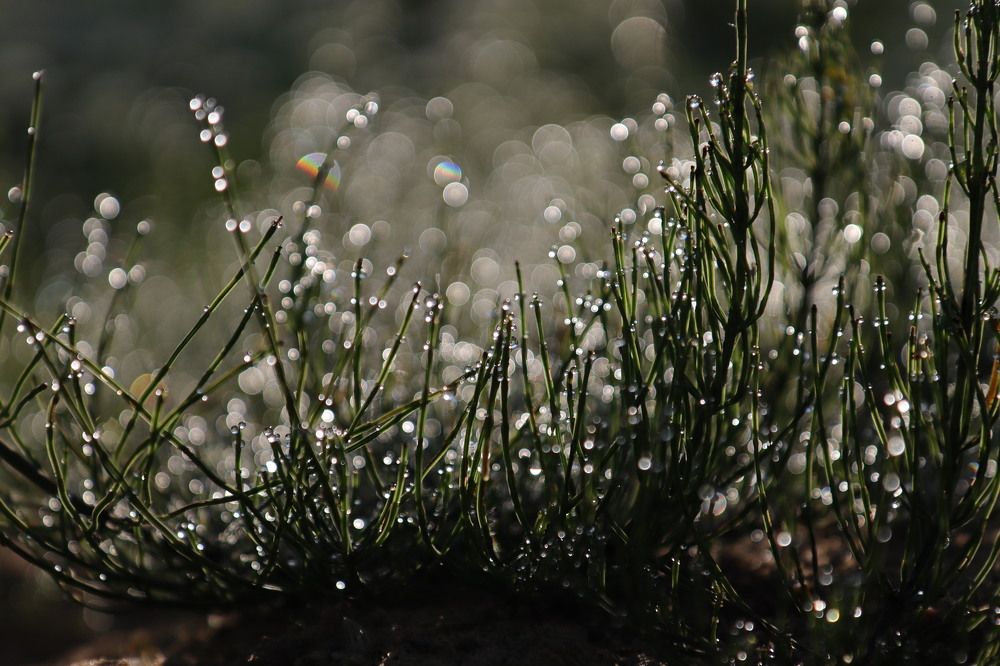 Photograph by Екатерина Слепнева