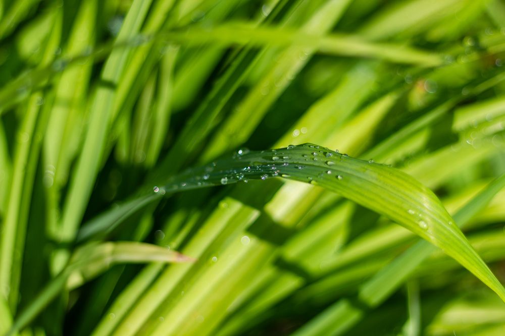 Photograph by Елена Кириллова