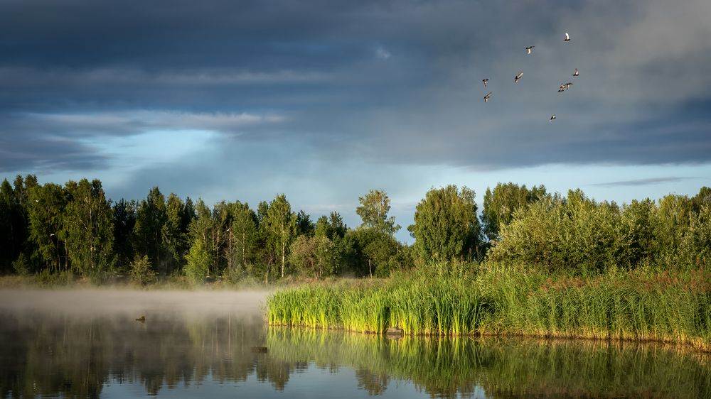 Фотография автора Александр Рудный