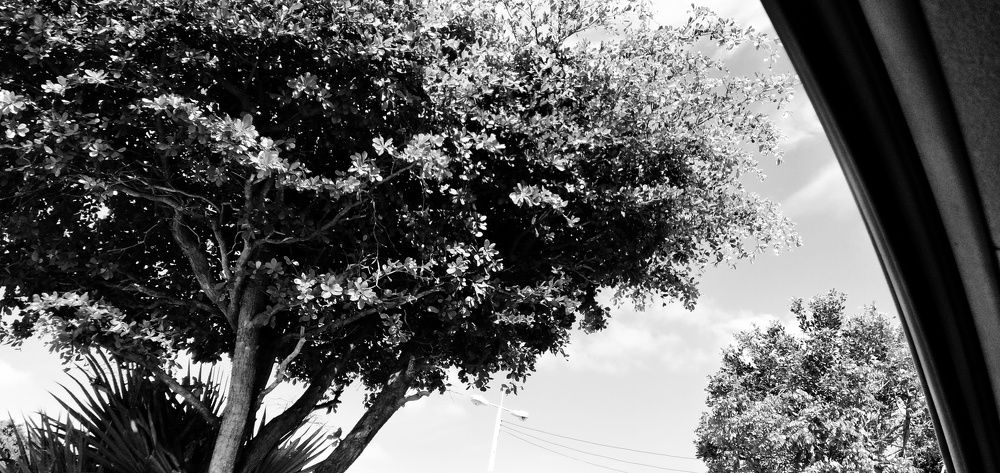 Photograph by Photographer boi