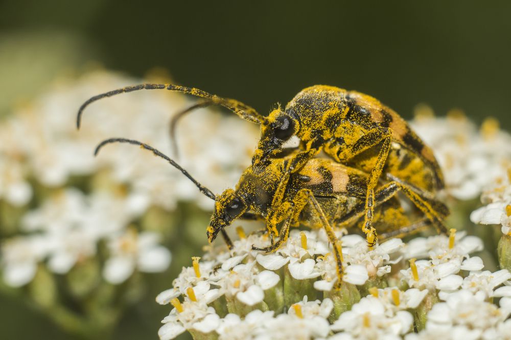 Photograph by Дина Горбачёва