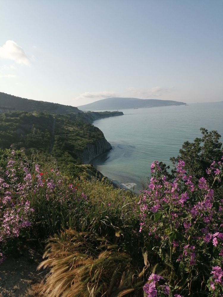 Photograph by Елена Сологубова