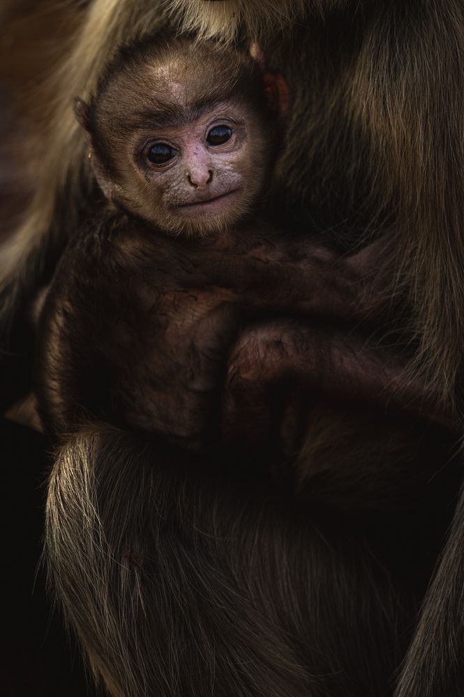 Eyes full of emotions!