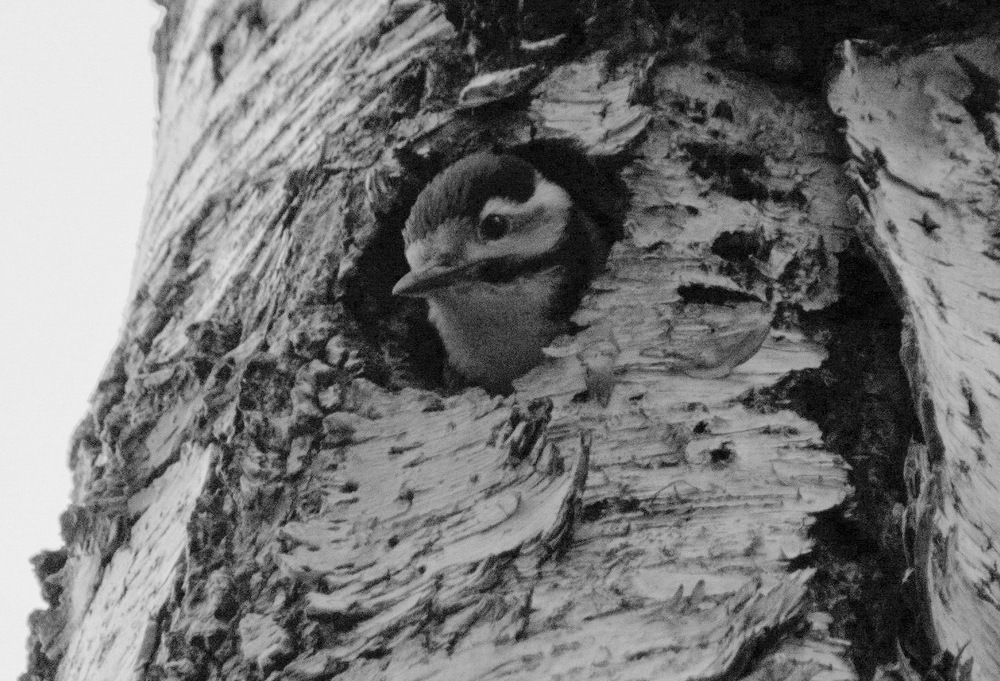 Photograph by Александр Дурасов