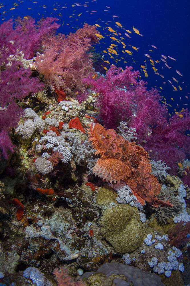 Photograph by Оксана Каменская