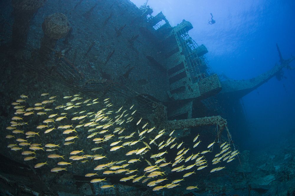 Photograph by Оксана Каменская