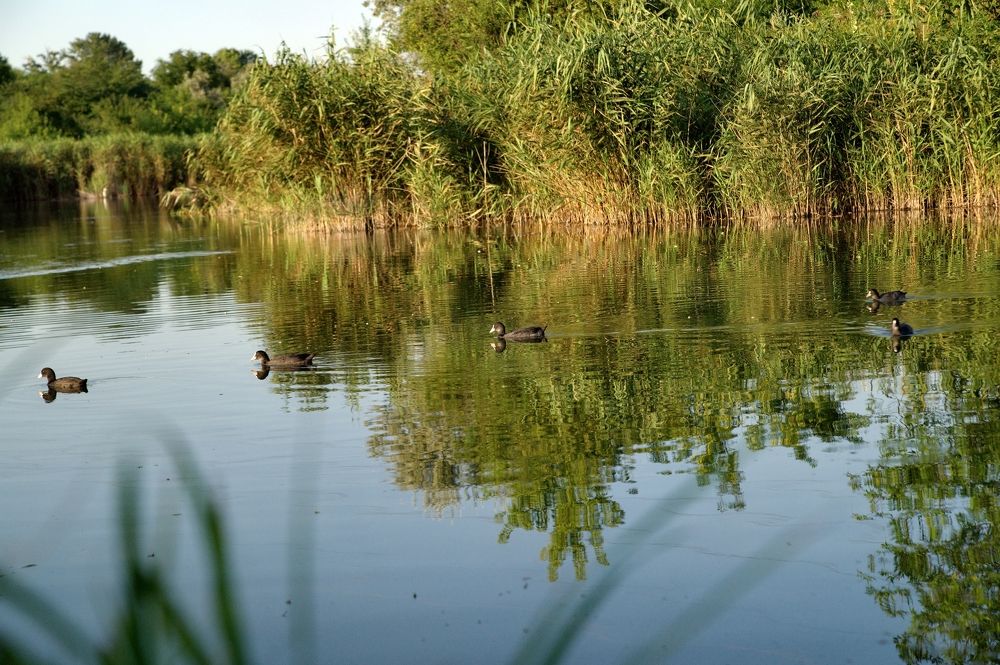 Photograph by АНДРЕЙ Роев