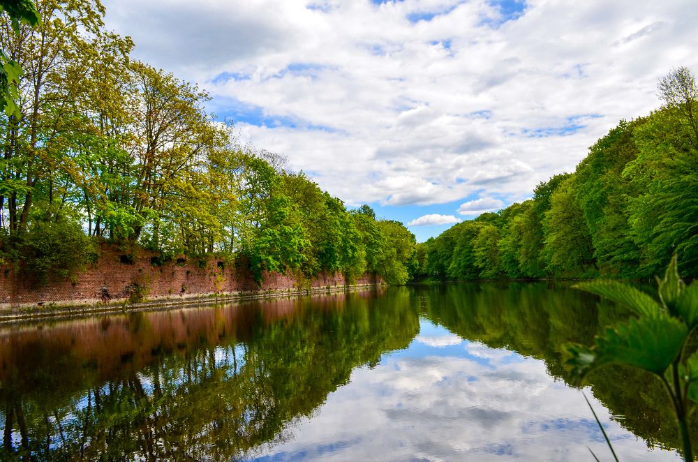 Photograph by Дмитрий Батейкин