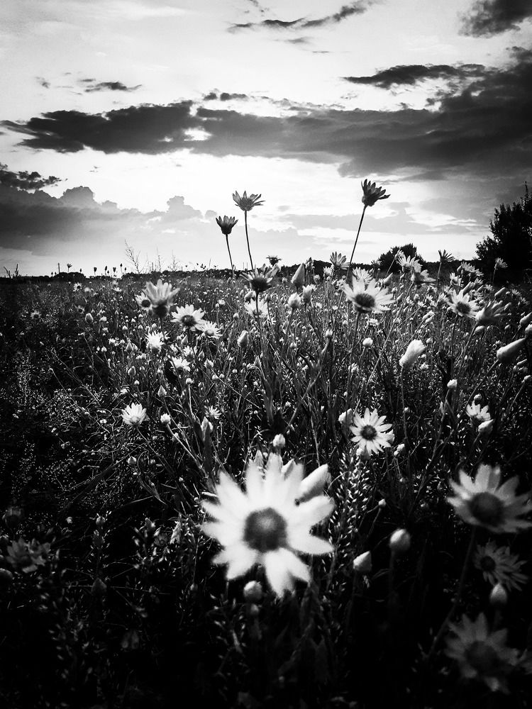 Photograph by Алена Гончаренко