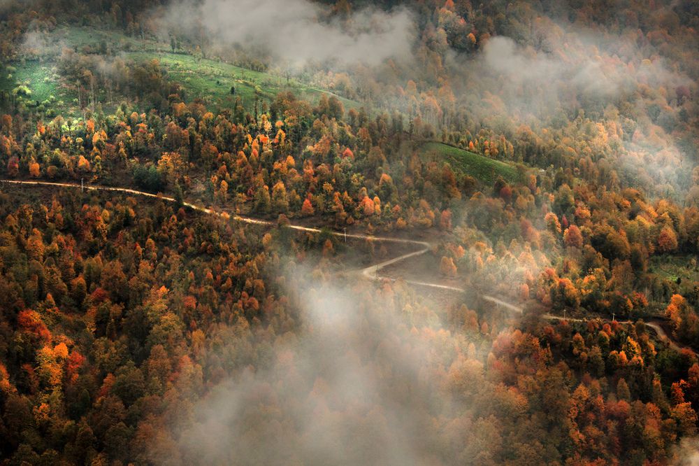 Road of Love