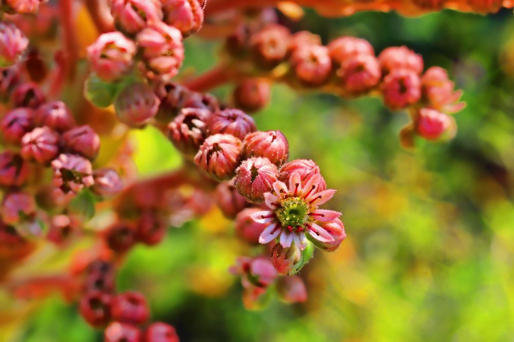 Photograph by Tatyana Semenova