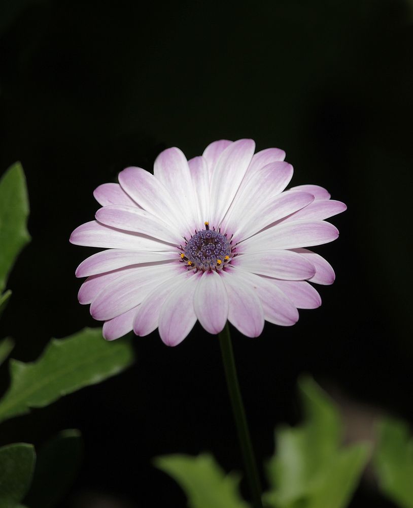 Photograph by Елена Атаманчук