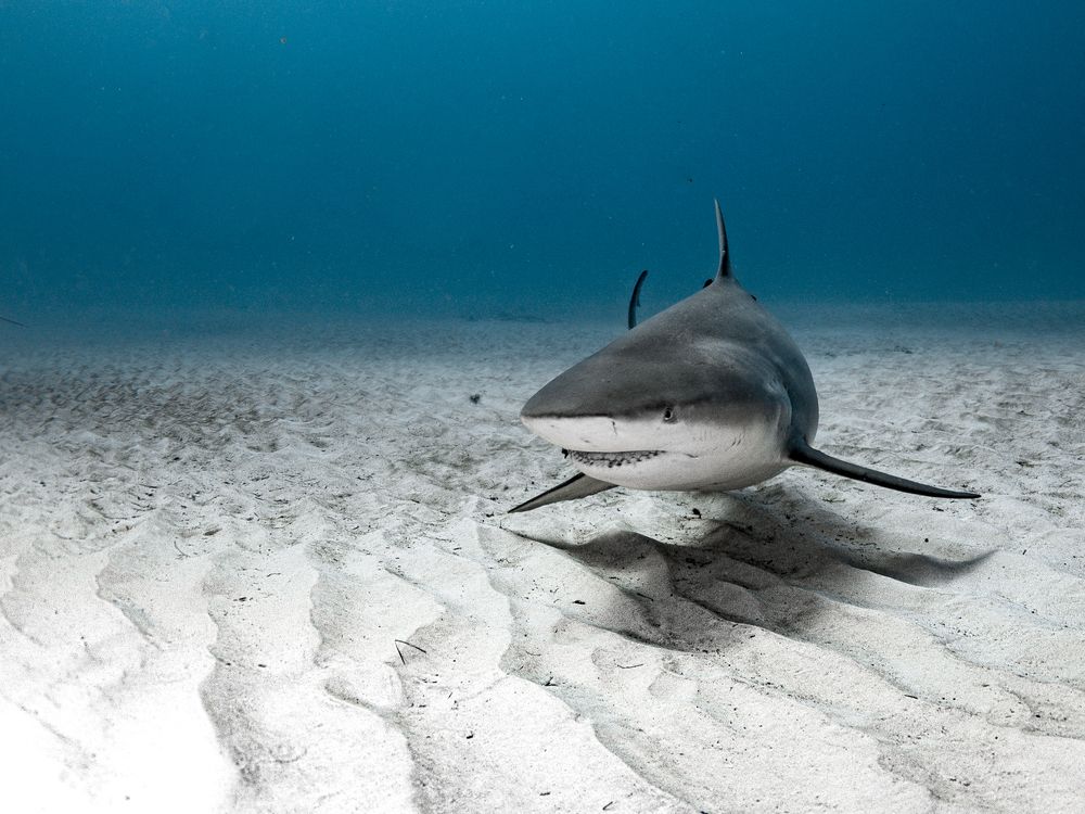 Photograph by Mizael Palomeque