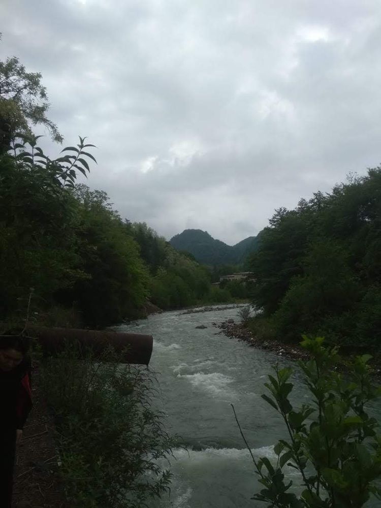 Photograph by Саманта Начкебия