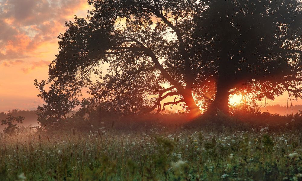 Photograph by Олег Фокин