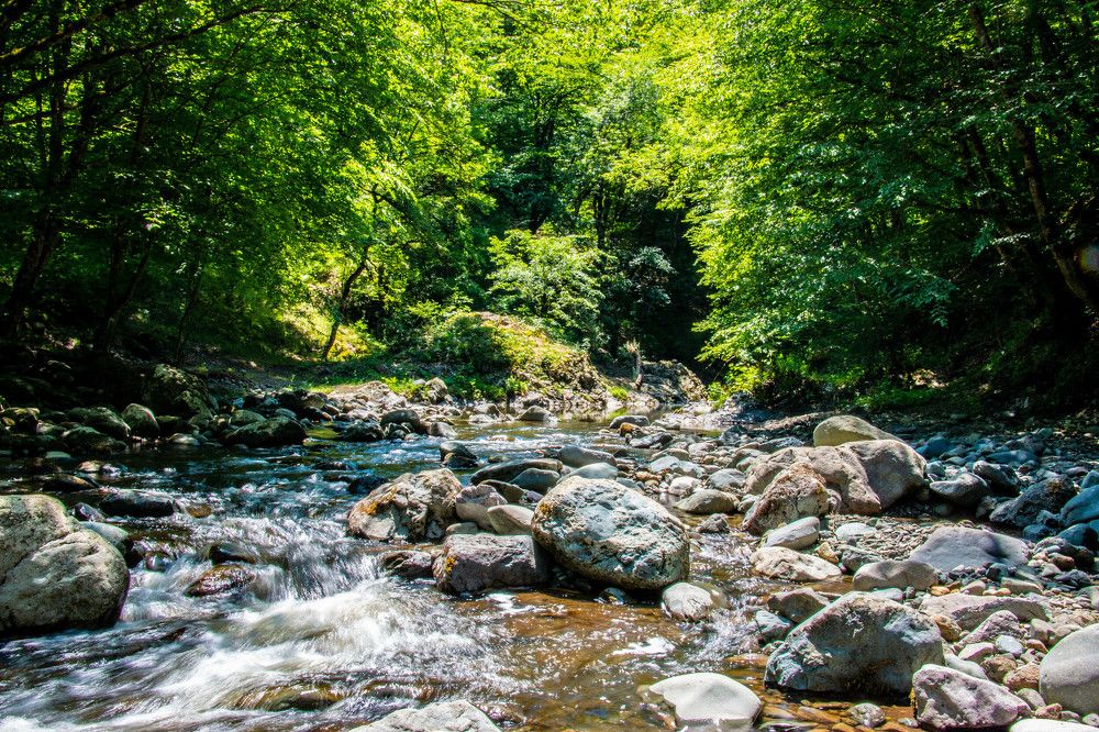 Photograph by Арцах Бабаян