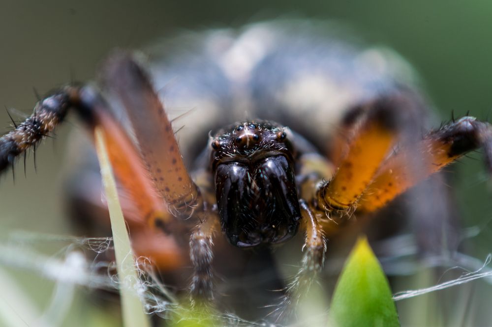 Фотография автора Jose Marcos Carvajal Tarazona