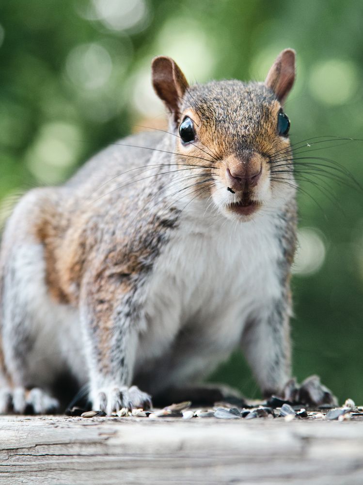 Photograph by Alisa Bryz-Gornia