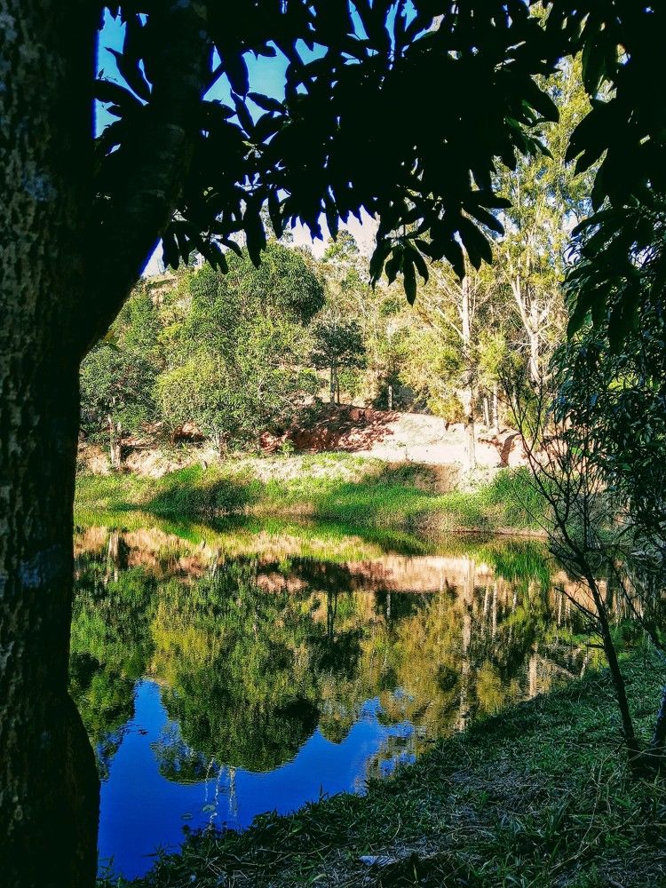 River do Carmo near the source (Ribeirão do Carmo perto da nascente)