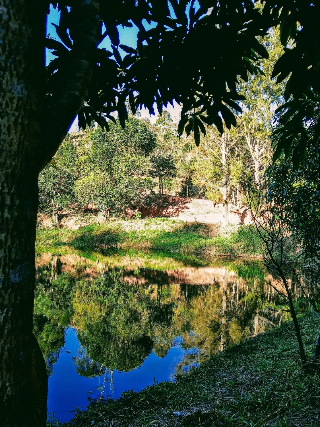 River do Carmo near the source (Ribeirão do Carmo perto da nascente)