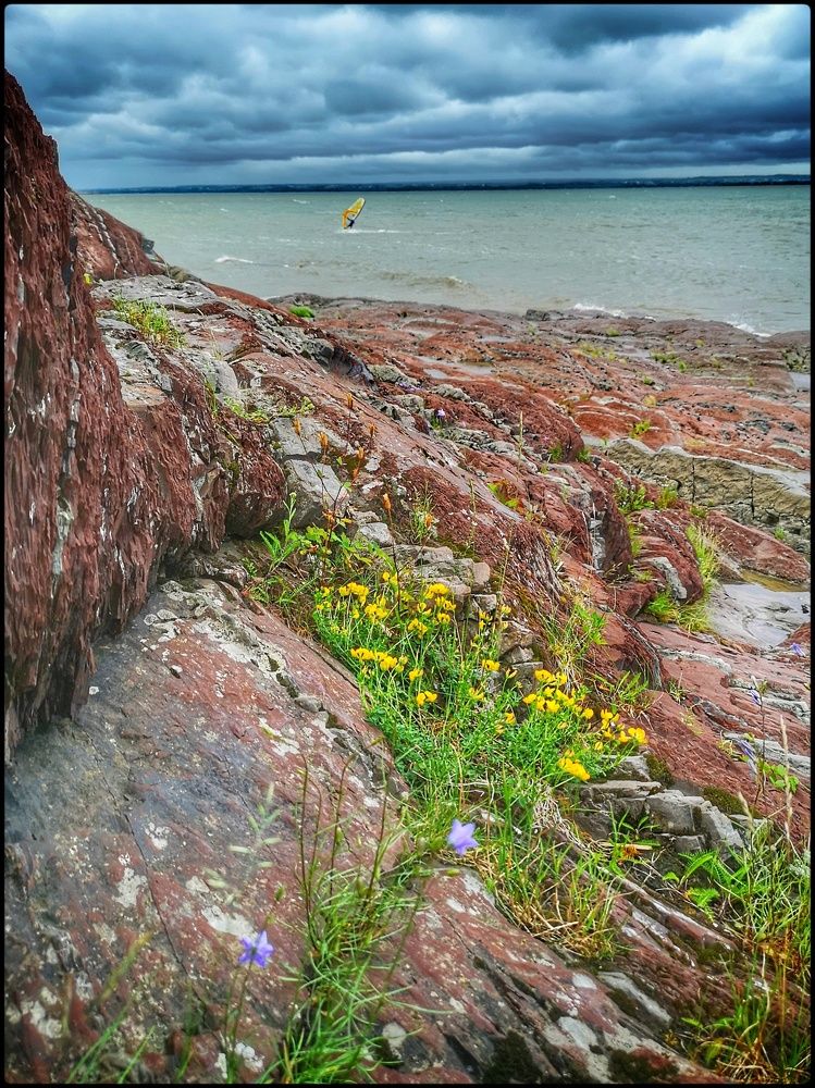 Photograph by Марина Веремеева