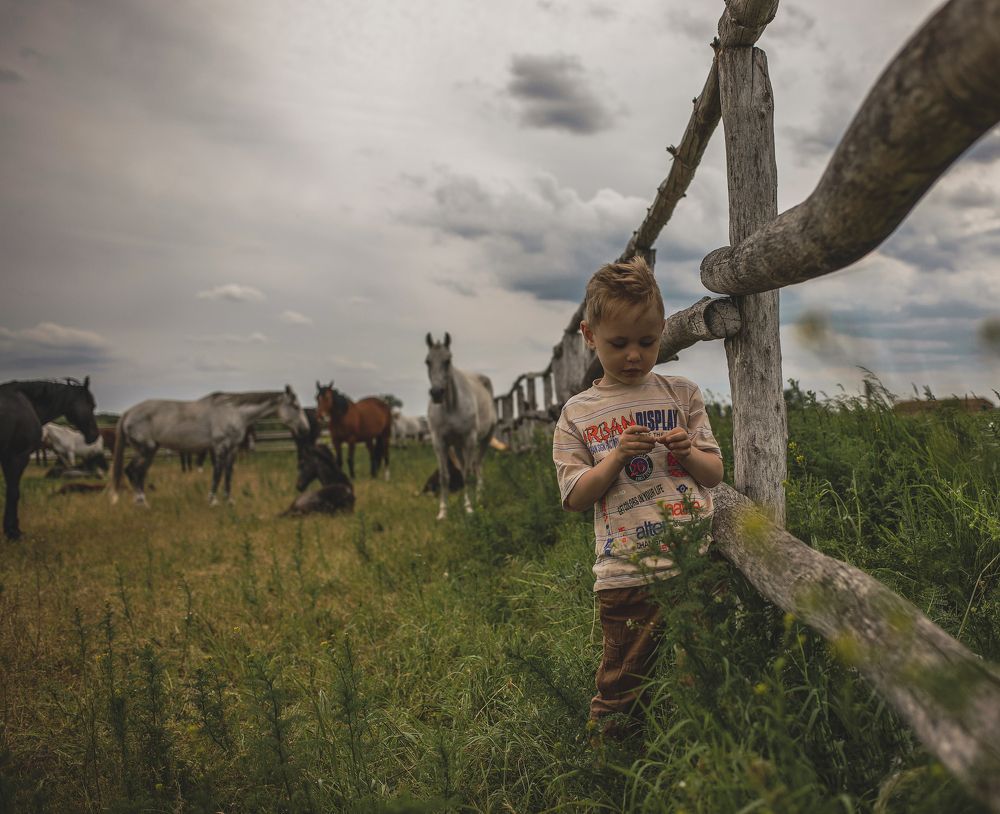 Photograph by Алина Миняйло