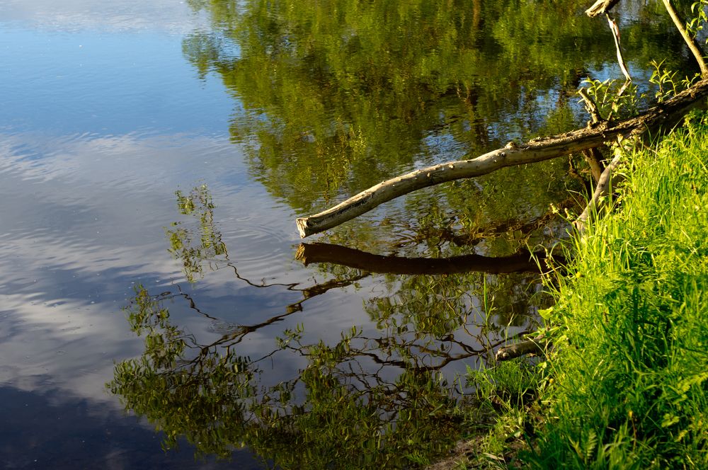 Photograph by Максим Захаров