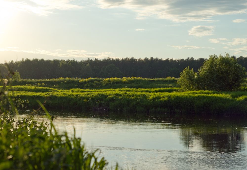 Photograph by Максим Захаров