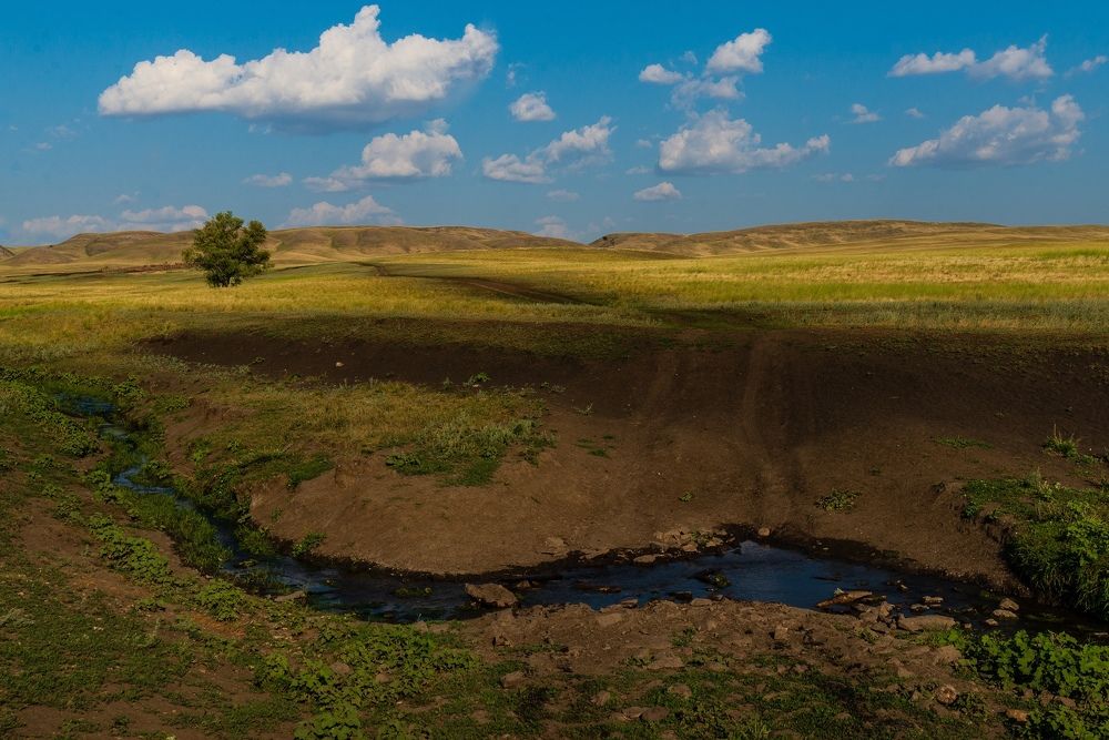 Photograph by Давыдова Гульгена