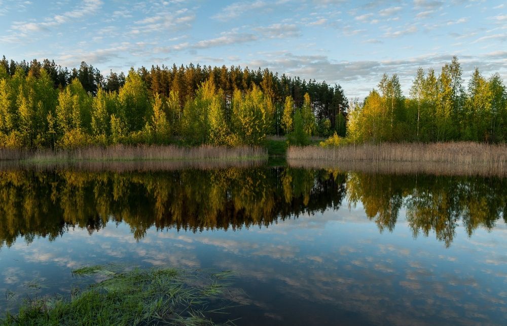 Photograph by Андрей Папанов